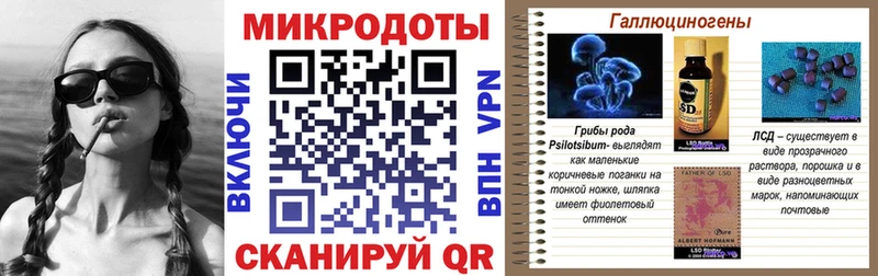 Псилоцибиновые грибы Psilocybine cubensis  Купить  Воскресенск 